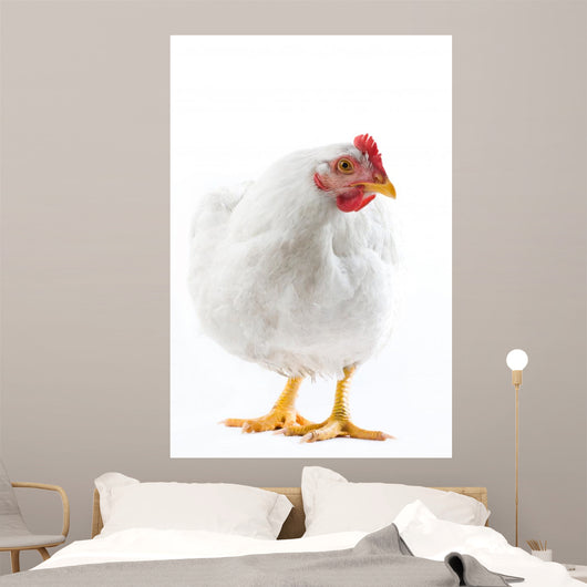 Image White Hen Standing Wall Decal