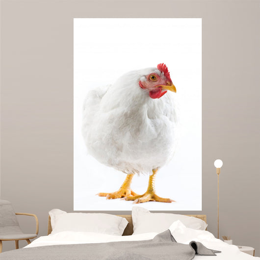 Image White Hen Standing Wall Decal