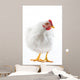 Image White Hen Standing Wall Decal