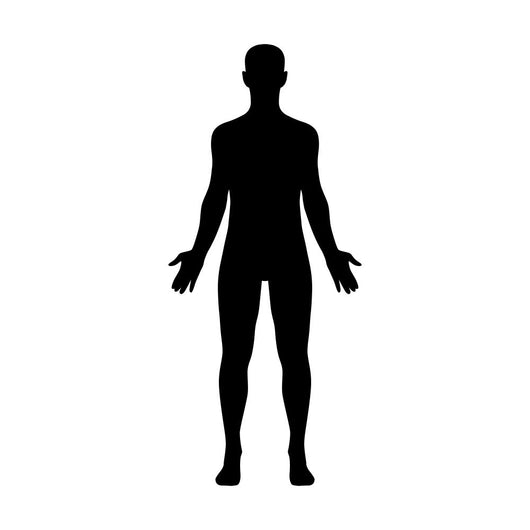 Male Human Body Belonging Wall Decal