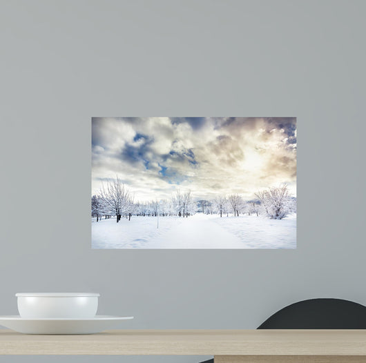 Beautiful Winter Park Wall Decal