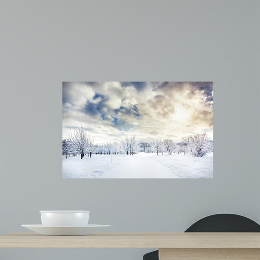 Beautiful Winter Park Wall Decal