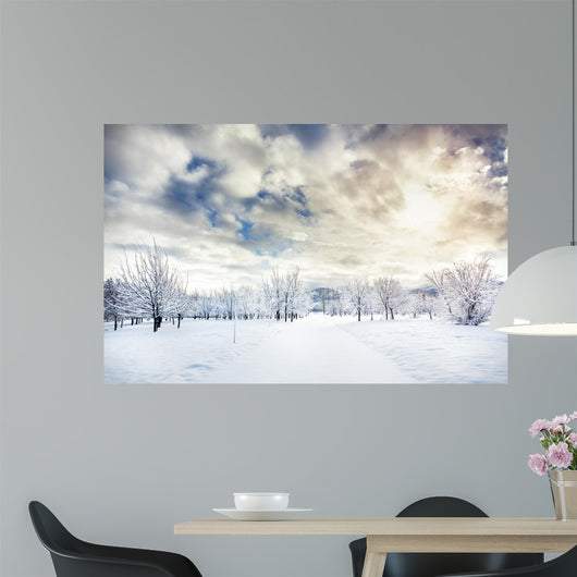 Beautiful Winter Park Wall Decal