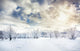Beautiful Winter Park Wall Decal