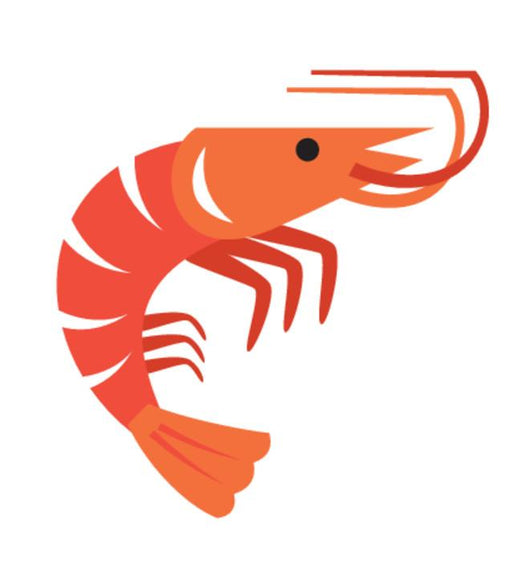Vector Color Prawn Wall Decal