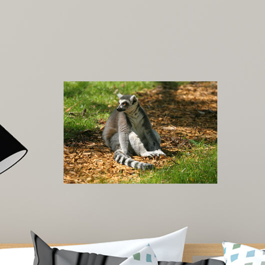 Maki Catta Assis Profil Wall Decal