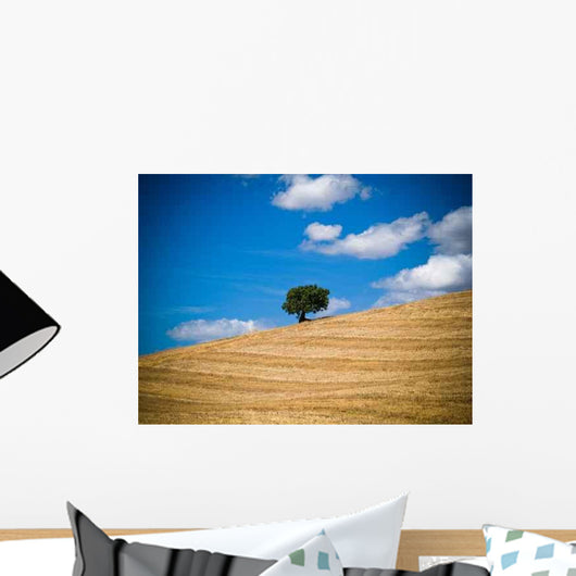 Abruzzo Wall Decal