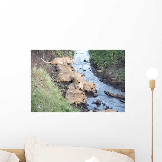 Africa Tanzania Serengeti National Wall Decal