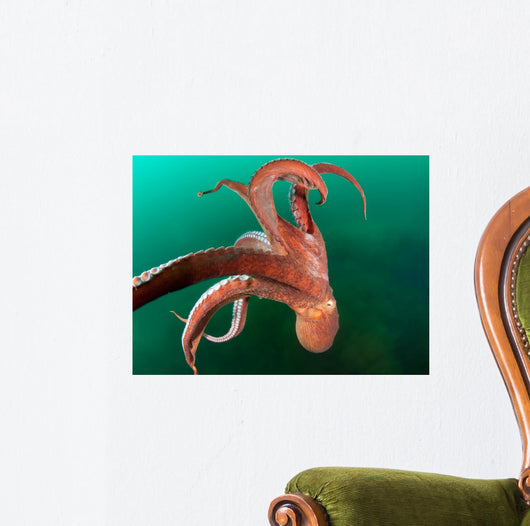 Giant Octopus Motion Japan Sea Wall Decal
