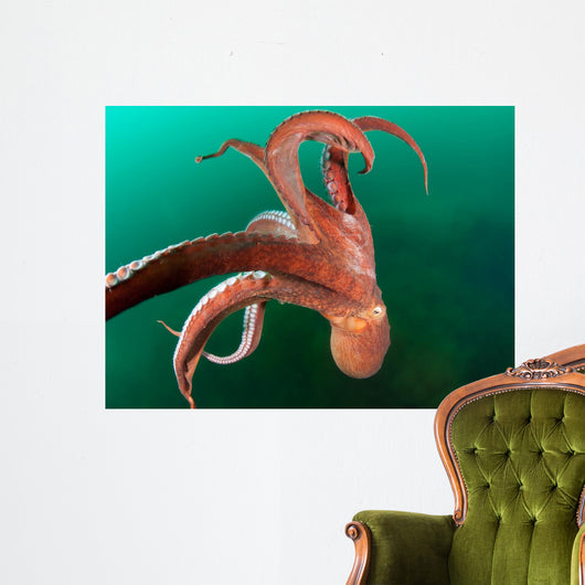 Giant Octopus Motion Japan Sea Wall Decal