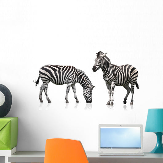 Two Zebra Wall Stickers Wall Decal