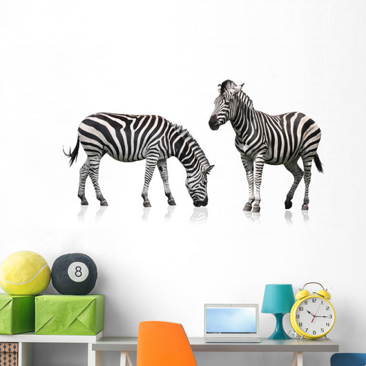 Two Zebra Wall Stickers Wall Decal