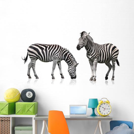 Two Zebra Wall Stickers Wall Decal