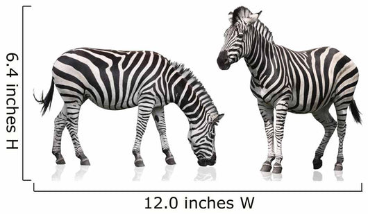 Two Zebra Wall Stickers Wall Decal