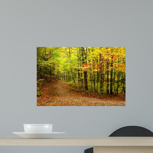 Dirt Road to Fall Wall Decal