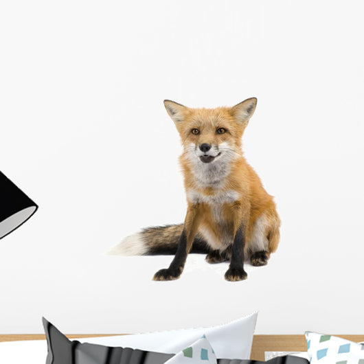 Red Fox Wall Decal