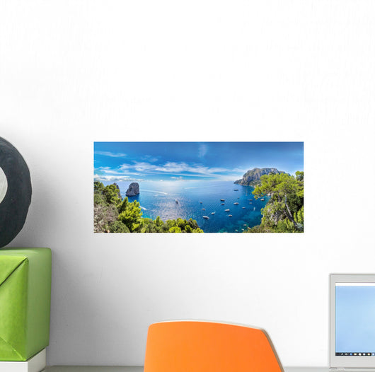 Capri island  in Italy Wall Mural