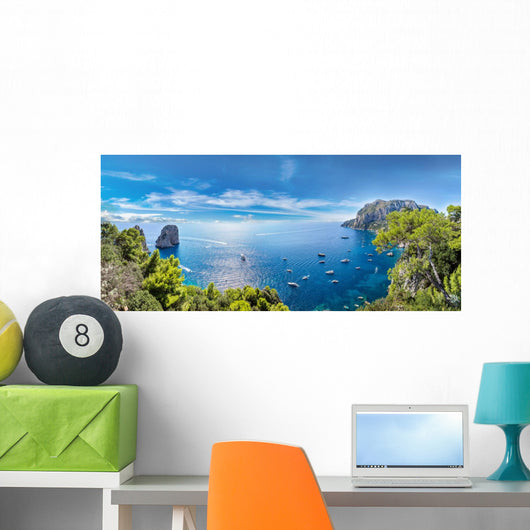Capri island  in Italy Wall Mural