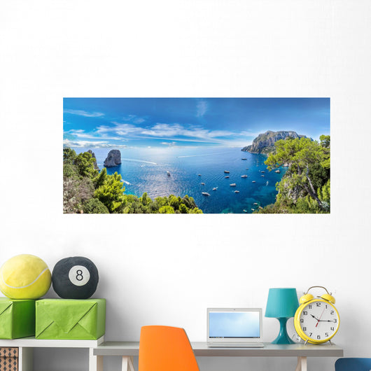 Capri island  in Italy Wall Mural