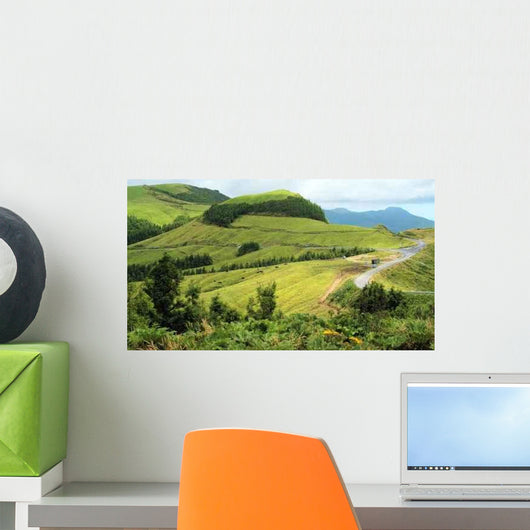 Goshawks Wall Decal
