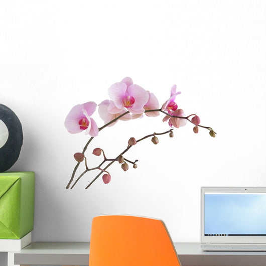 Pink Orchid Wall Decal Design 2