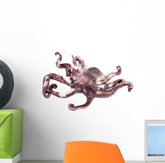 Octopus Shot over White Wall Decal