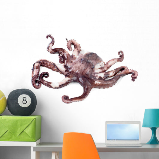 Octopus Shot over White Wall Decal