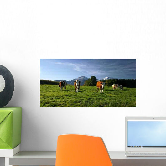 Cows Wall Decal