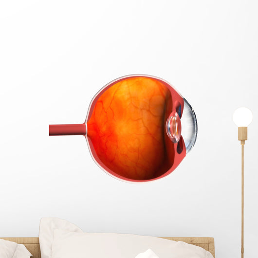 3D Auge Wall Decal