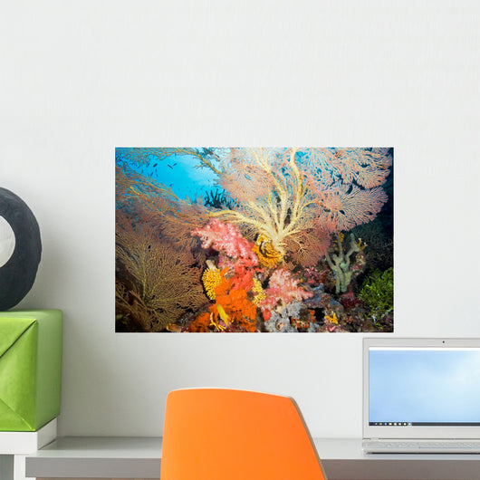 Coral Reef Landscape Wall Decal