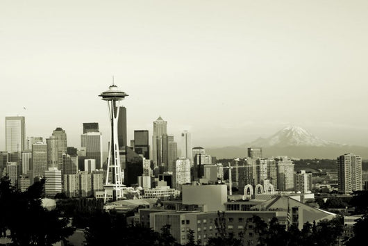 Seattle Panorama Wall Decal