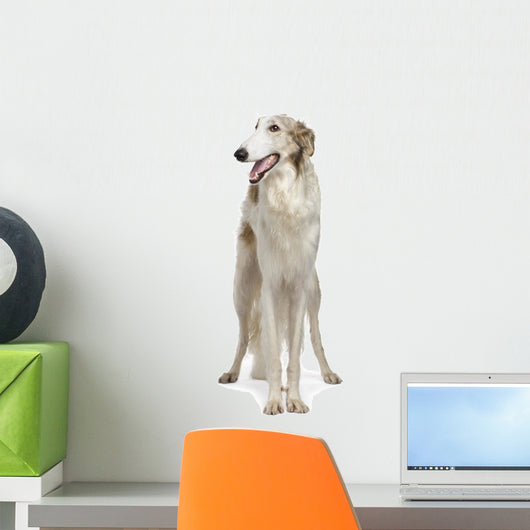 Russian Wolfhound Front White Wall Decal