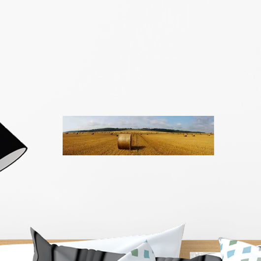 Panoramic Field and Hay Wall Decal