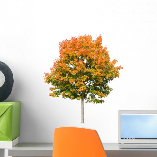 Autumn Maple Tree White Wall Decal