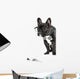 French Bulldog Glasses and Wall Decal
