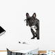 French Bulldog Glasses and Wall Decal