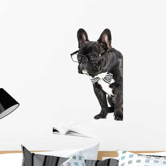 French Bulldog Glasses and Wall Decal