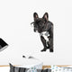 French Bulldog Glasses and Wall Decal