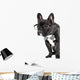 French Bulldog Glasses and Wall Decal
