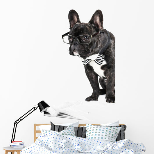 French Bulldog Glasses and Wall Decal