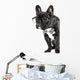 French Bulldog Glasses and Wall Decal