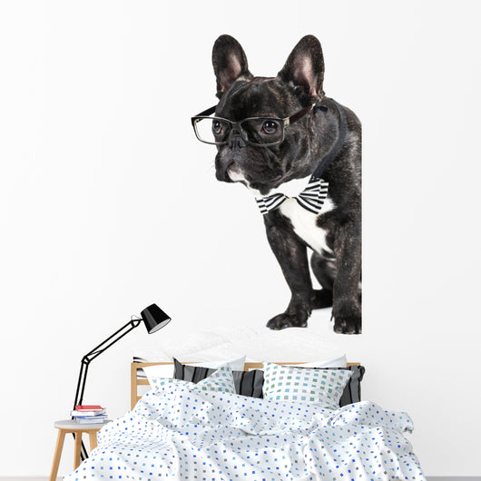 French Bulldog Glasses and Wall Decal