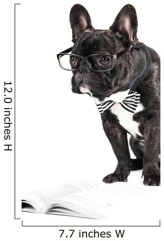 French Bulldog Glasses and Wall Decal