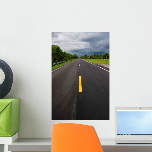 Tamiami Trail Extending to Wall Decal