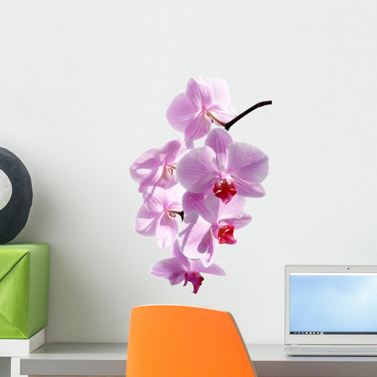 Pink Orchid Wall Decal Design 1