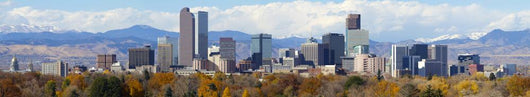 Denver Colorado Skyline Very Wall Decal