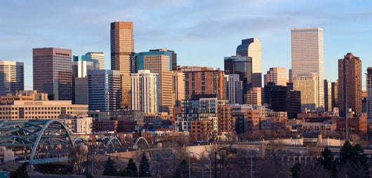 Downtown Denver Buildings Wall Decal