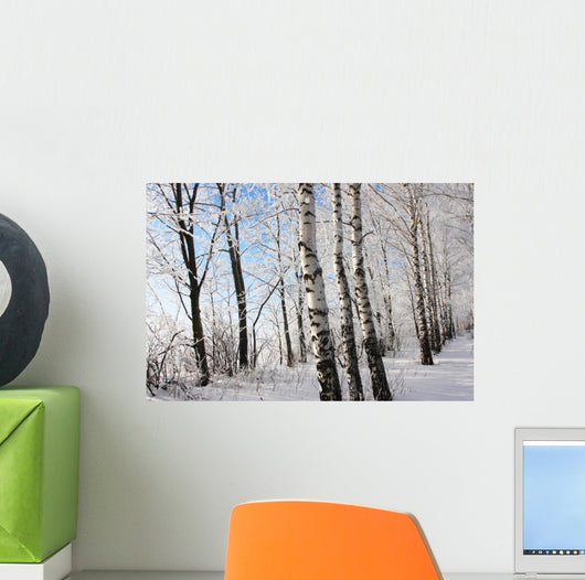 Birch Winter Alley Wall Decal