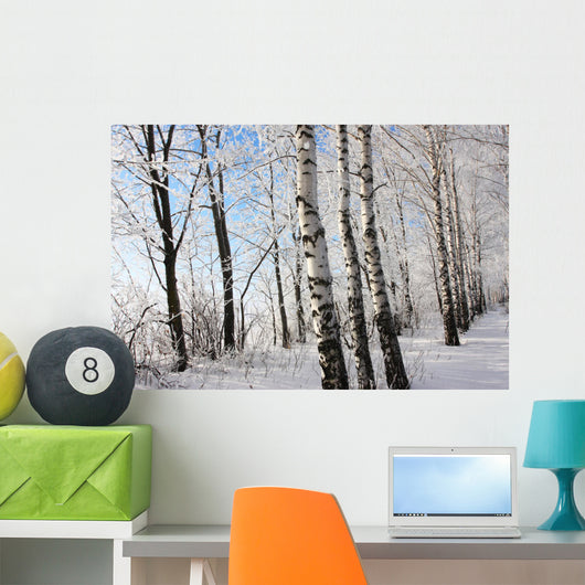 Birch Winter Alley Wall Decal