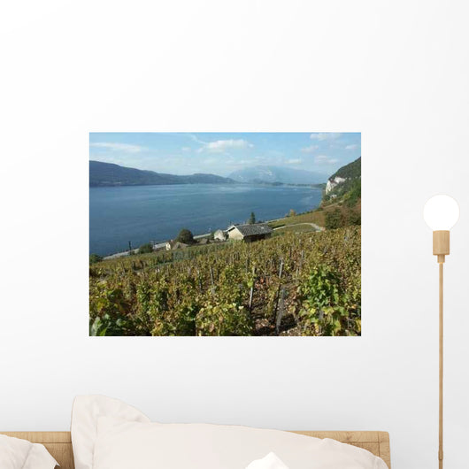 Les Vignes Chautagne Wall Decal